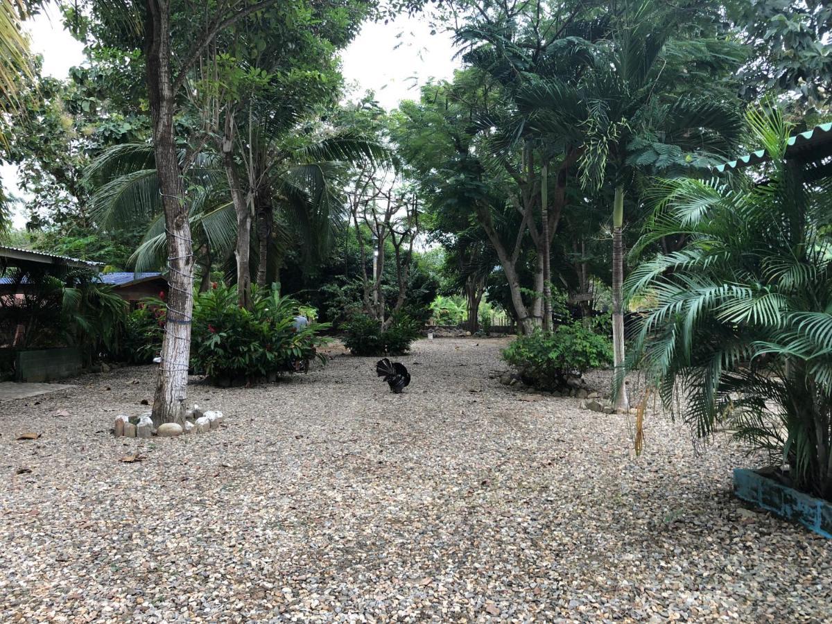 Hacienda Valencia Hostel Guachaca Exterior photo